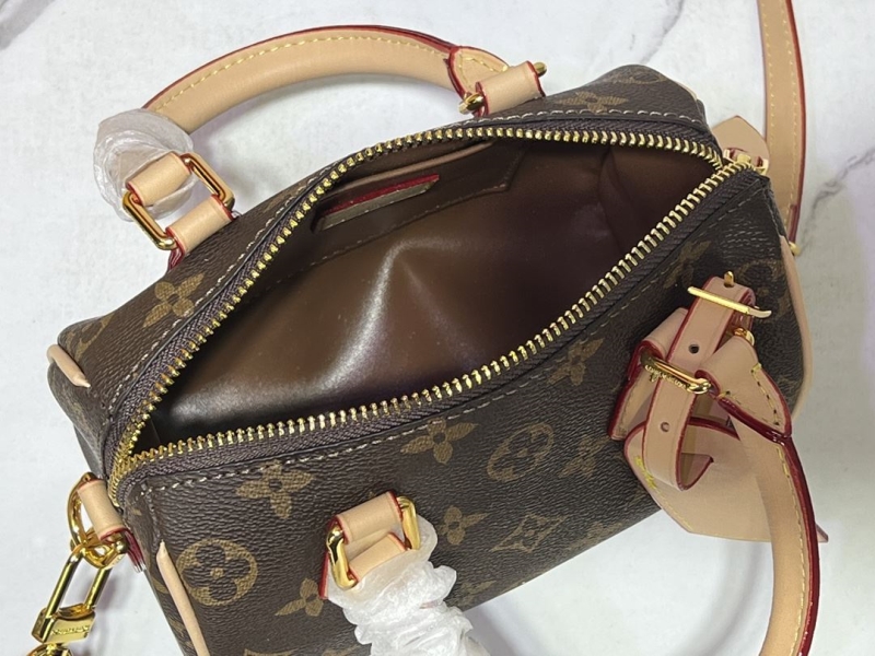 LV Speedy Bags